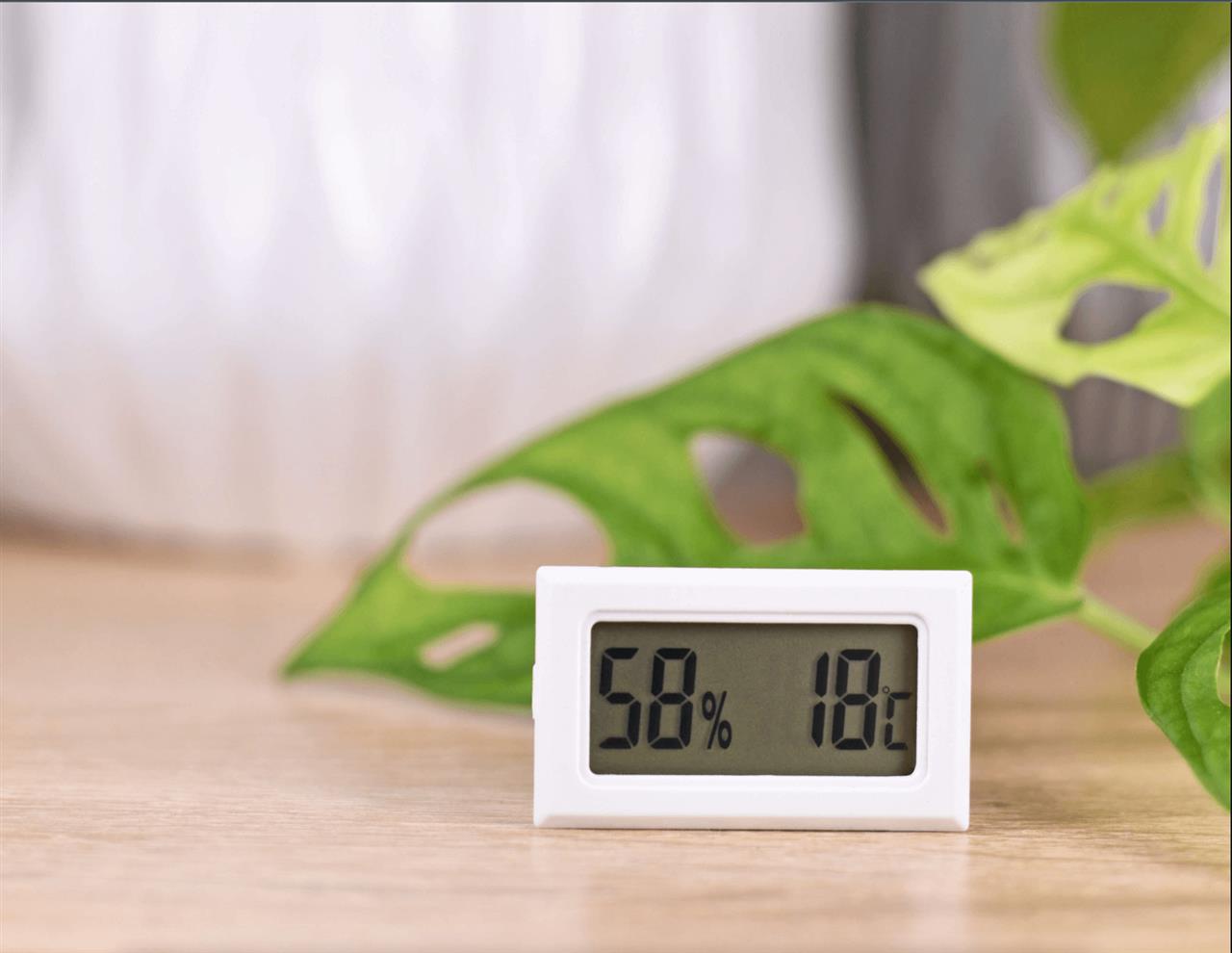 Alt du skal vide om hygrometer