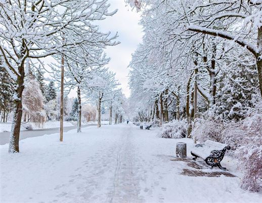 Tre gode grunde til at vælge en varmepumpe