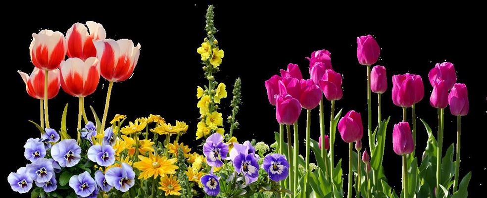 Få flotte cortenstål højbede hos Thy-metal